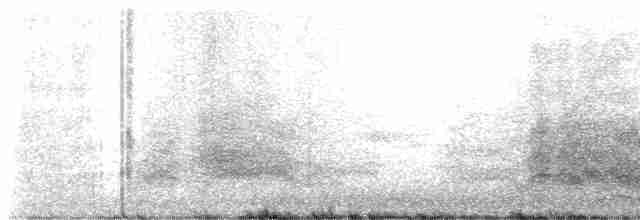 裏海燕鷗 - ML593045501