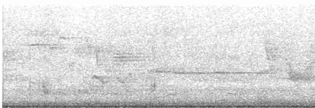 Common Tern - ML593046681