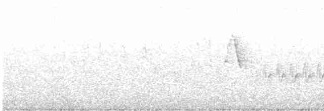 Paruline des buissons - ML593056901