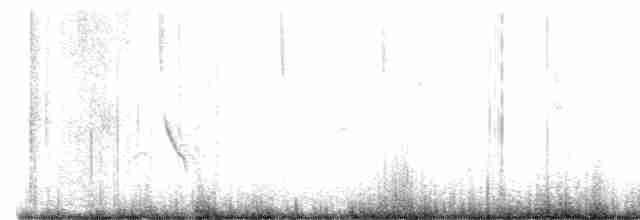 Plumbeous Vireo - ML593071961