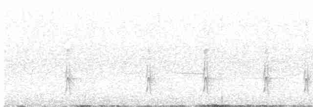 Amerika Üç Parmaklı Ağaçkakanı (dorsalis) - ML593072611
