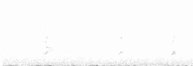 Kanada Kargası (capitalis/bicolor) - ML593072791