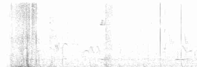 Сичик-горобець гірський (підвид pinicola) - ML593074031