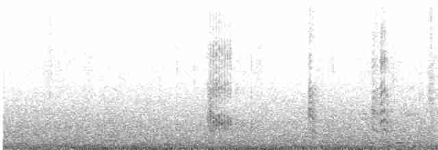 Сероголовая чайка - ML593099311