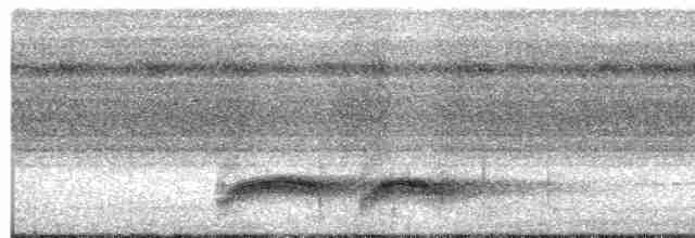 Kara Başlı Pitta (rosenbergii) - ML593106761