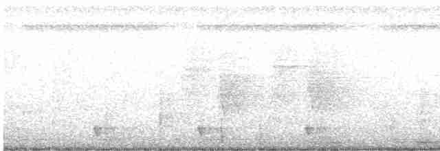 Large-tailed Nightjar - ML593112521