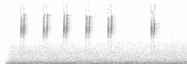 Трясохвіст темночеревий - ML593134011