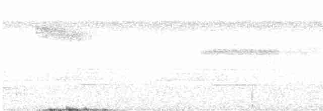Moluccan Dwarf-Kingfisher - ML593143331