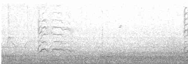 Large-billed Tern - ML593201681