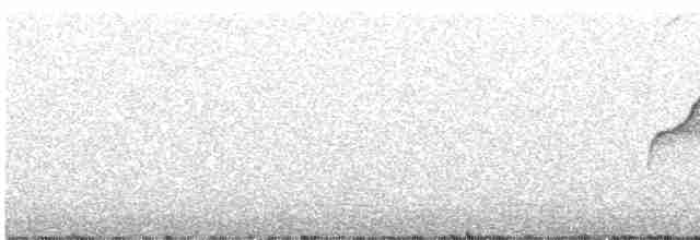 Batı Amerika Sinekkapanı - ML593221171