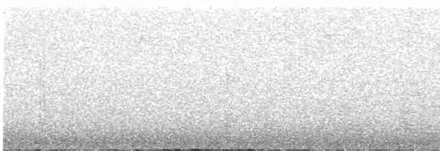Batı Amerika Sinekkapanı - ML593224521