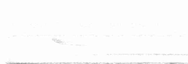 Толстоклювый крапивник - ML593228061