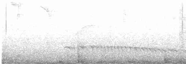Rufous-margined Antwren - ML593228371