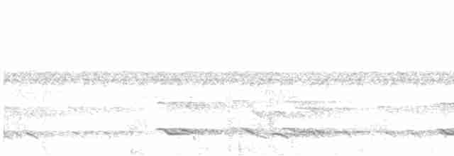 tukan žlutohrdlý - ML593239601
