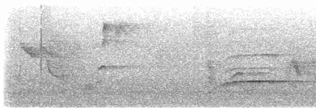 káně rudochvostá (ssp. borealis) - ML593261261
