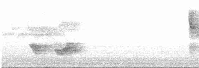 Kara Kanatlı Piranga - ML593266671