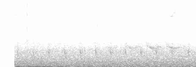 Serra Karıncakuşu (serrana/interposita) - ML593286761