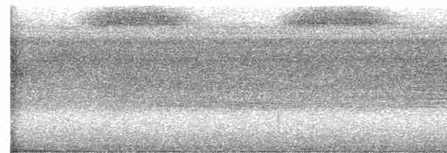 White-throated Shrike-Tanager - ML593294731