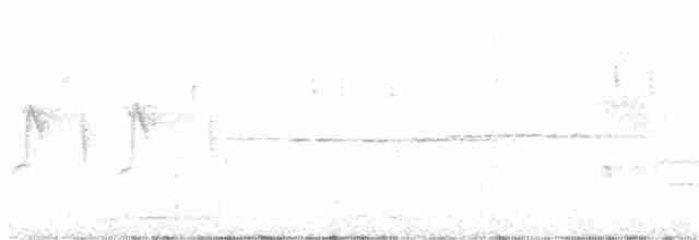 Red Crossbill (Western Hemlock or type 3) - ML593328411