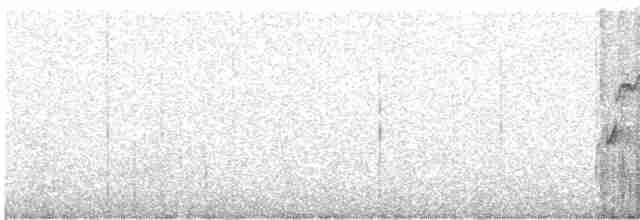 Tinamou perdrix - ML593329911