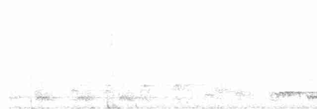 Синекрылая кукабара - ML593331801