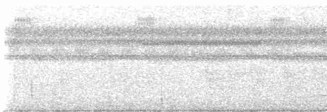 Синеголовый зимородок - ML593336211
