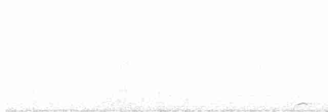 sovka štěkavá - ML593338821