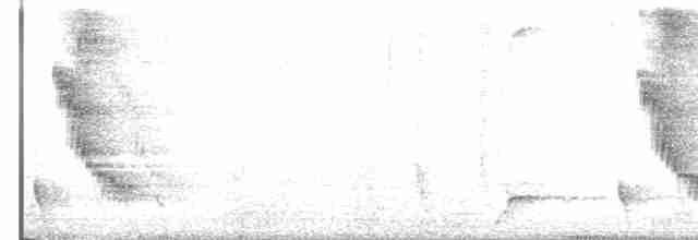 Трупіал-чернець галасливий - ML593343891