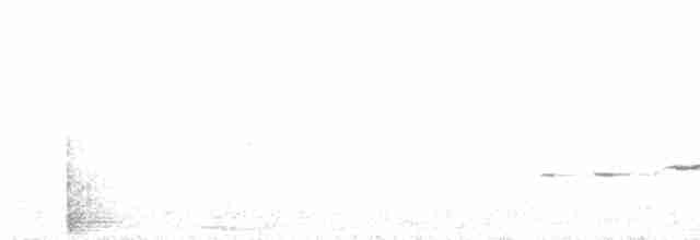 hvitbryntrosteskvett - ML593372101