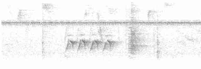 Turuncu Başlıklı Öfonya - ML593397261