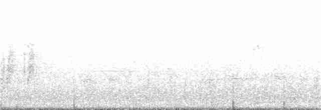 Kara Kaşlı Kamışçın - ML59340141