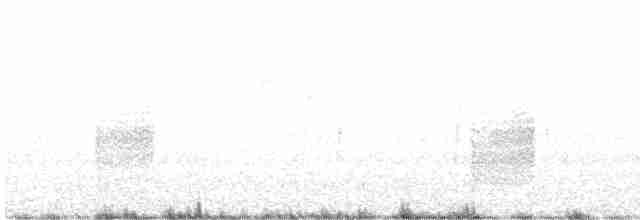 Кропив'янка сіра - ML593403531