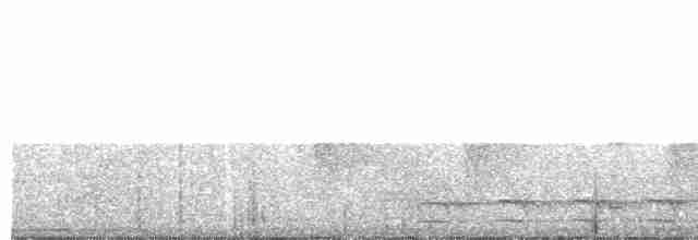 White-shouldered Antshrike - ML593404861