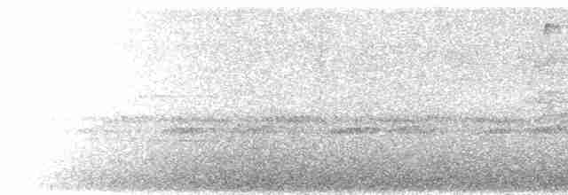 White-naped Brushfinch - ML593428631
