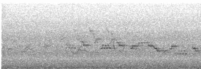 Дрізд-короткодзьоб бурий - ML593433791