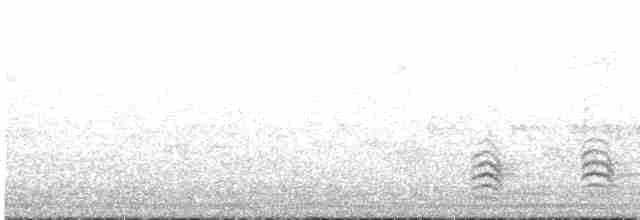 Weißbrustkleiber - ML593437841