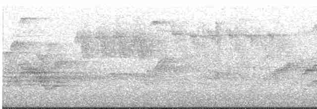 Дрізд-короткодзьоб бурий - ML593438251
