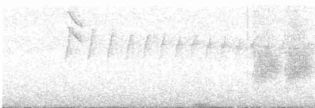 Kestane Karınlı Lacivert Öfonya - ML593490021