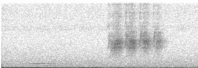 Kestane Karınlı Lacivert Öfonya - ML593490041