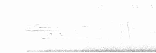 Münzevi Bülbül Ardıcı - ML593523371