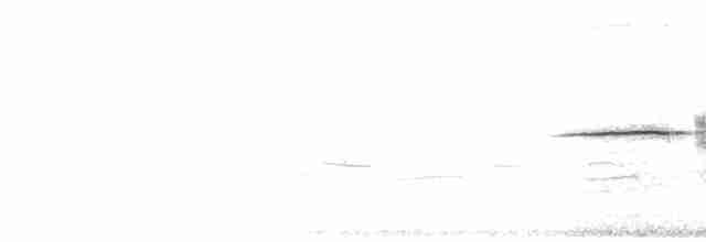 Münzevi Bülbül Ardıcı - ML593523411