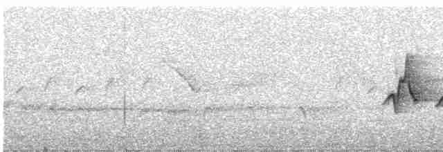 Eastern Crowned Warbler - ML593528251