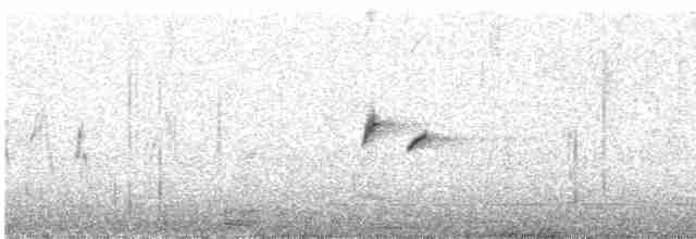 Long-tailed Rosefinch - ML593528301