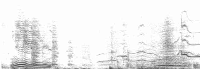 Чернобровый альбатрос - ML593531751