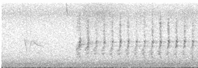 Steller Kargası [diademata grubu] - ML593541271
