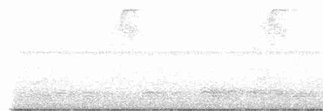 Каролинский крапивник - ML593546191