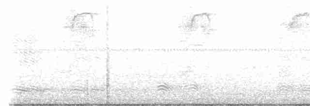 Каролинский крапивник - ML593546201