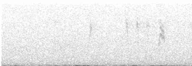 Sperlingsvogel, unbestimmt - ML593548051