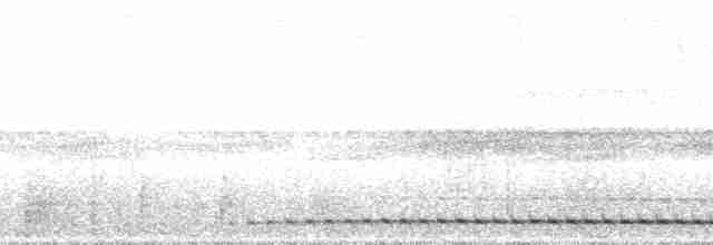 Рораймская совка [группа napensis] - ML59357