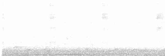 コウゲンエメラルドハチドリ - ML593605321